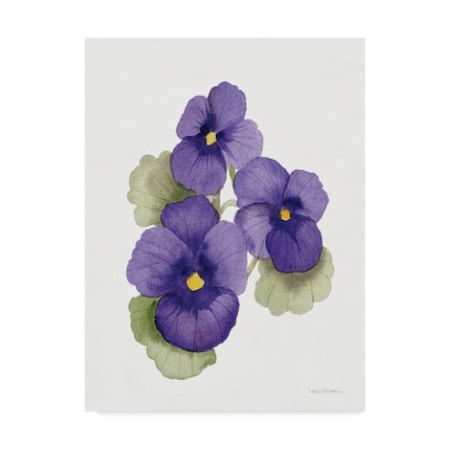 Kathleen Parr Mckenna 'Easter Blessing Flower Ix' Canvas Art,24x32